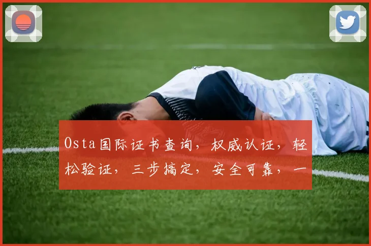 Osta国际证书查询，权威认证，轻松验证，三步搞定，安全可靠，一查便知，放心使用，服务至上。