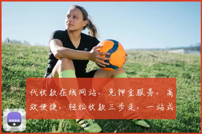 代收款在线网站，免押金服务，高效便捷，轻松收款三步走，一站式解决方案，告别繁琐流程