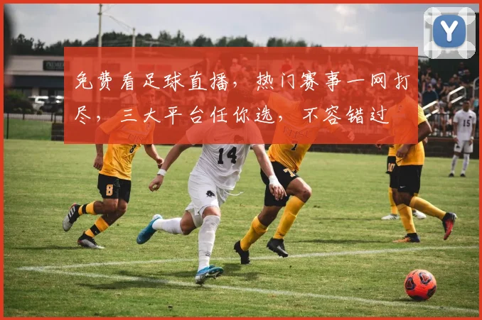 免费看足球直播，热门赛事一网打尽，三大平台任你选，不容错过
