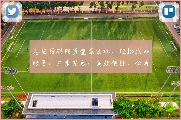 忘记密码网页登录攻略，轻松找回账号，三步完成，高效便捷，必看