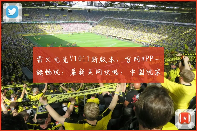 雷火电竞V1011新版本，官网APP一键畅玩，最新关网攻略，中国玩家必看，体验极致竞技