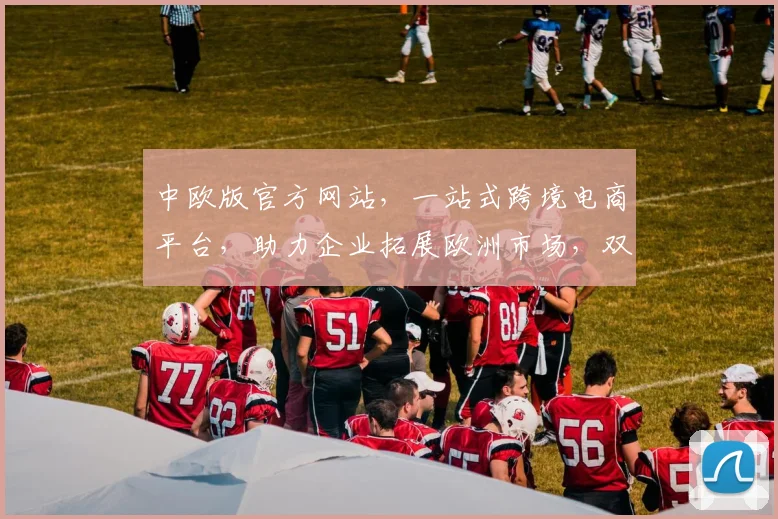 中欧版官方网站，一站式跨境电商平台，助力企业拓展欧洲市场，双线共赢